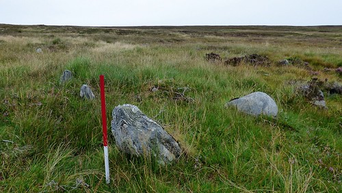 stone row alignment