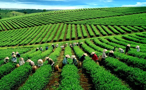 Thẩm mỹ viện uy tín ở Lâm Đồng top | by Mỹ Viện