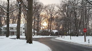more winter sun - Cleveland Heights