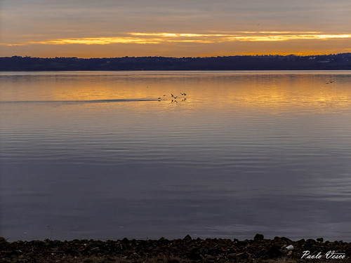 lago lake tramonto sunset uccelli birds