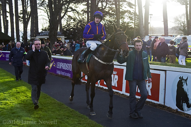 Saturnas and Paul Townend in the walking ring at Leopardstown