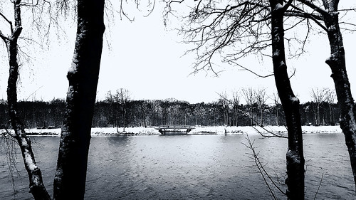 december winter snow cold lake trees landscape view bridge water bw blackwhite sw duisburg regattabahn nrw angietrenz trenzfotonrw