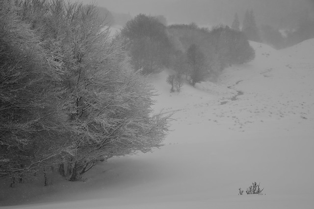 L'Aubrac l'hiver au col de Bonnecombe