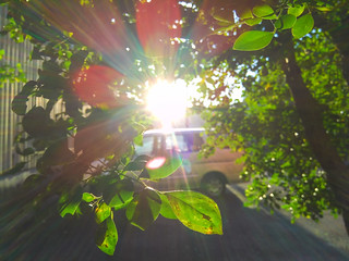 Flickr photo: PM4:00