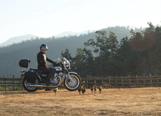 หัวหน้าเผ่า Chief Chic #w800 #kawasaki #kawasakiw800 #moto #motorcycles #motorcyclelife #vintage #retro #motorcyclejourneys #journey #livetoride #ridetolove #rideordie #adventuretime #thailand #southeastasia #naturephotography #machine