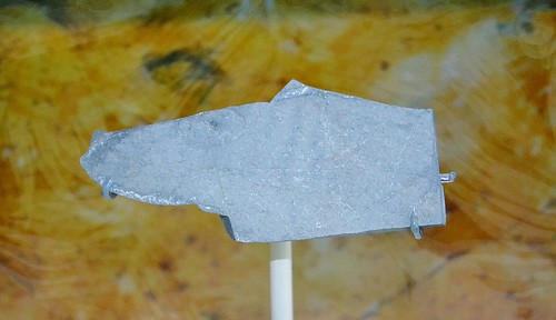 Aspidella ap. --  an Ediacaran fossil from North Carolina 0943 | by Tangled Bank