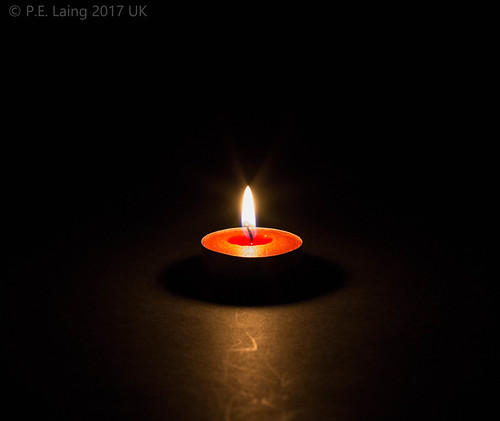 Dark and Light. | by Tricia Laing