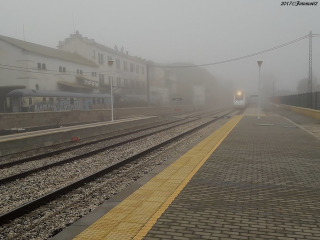 Saliendo de la Niebla