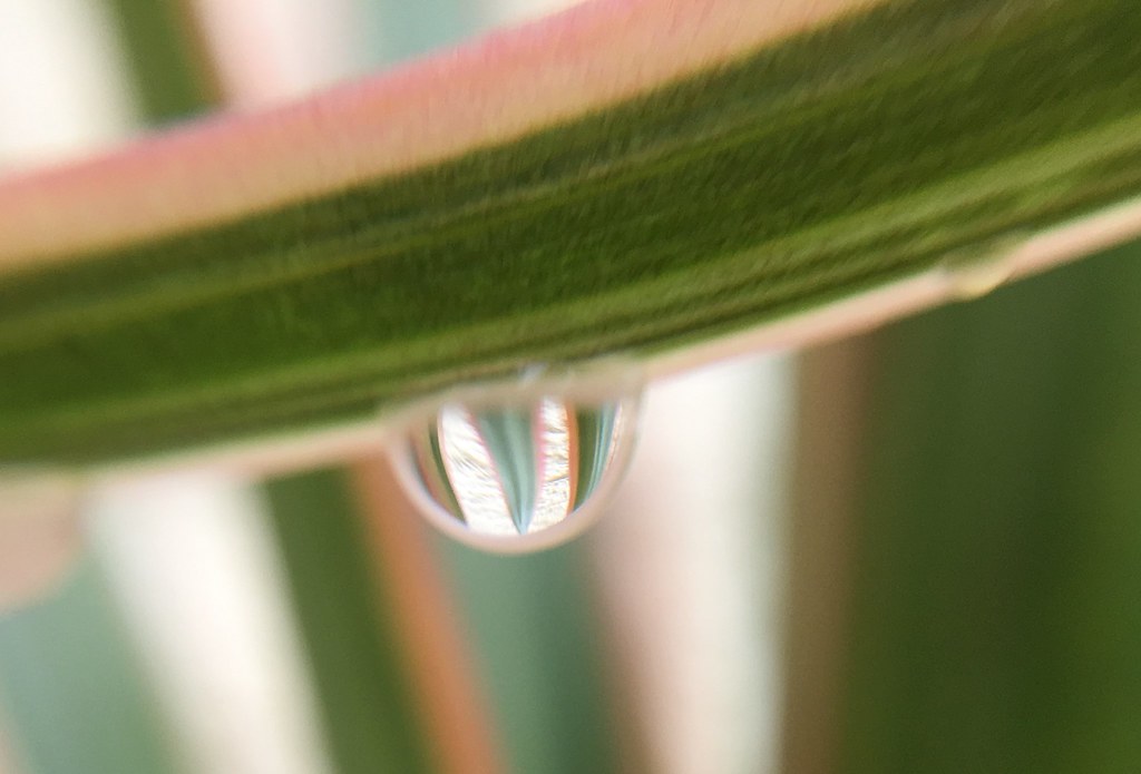 Droplet reflection