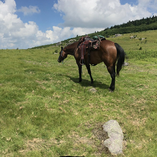mountains view scenic inspiring panoramic trailride grazing horse horseback