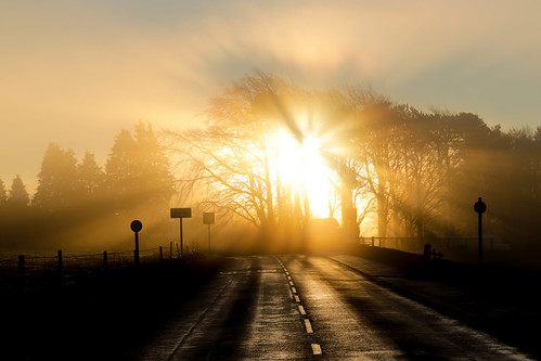 sun fog golden light morning sunrise early countryside