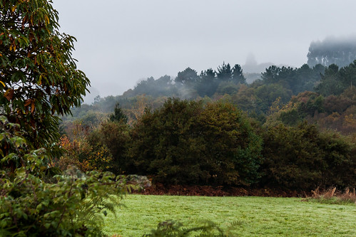 CAMINO DEL NORTE. SALIENDO DE VILALBA (2) by bacasr, Vilalba, Lugo, Galicia, Españalugo landscape bosque nature mist niebla meadow rural countryside vila