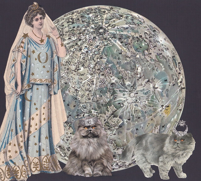 The Moon Goddess and Her Cats Comet & Asta