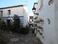 Calle - Vista general 2