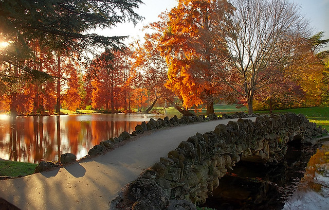 Cincinnati – Spring Grove Cemetery & Arboretum “Geyser Lake Bridge In Autumn”