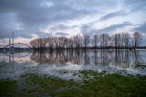 Hochwasser am Duisburger Rhein