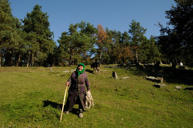 Woman with cow on the old jewish cemetery in Nemyirv