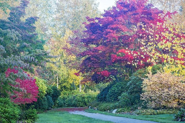 Autumn at Hawthorne Park, V2