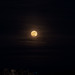 Super Moon, Full Moon, Wolf Moon
