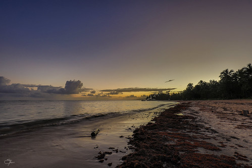 Las primeras luces by Guillermo Armenteros, Las Terrenas