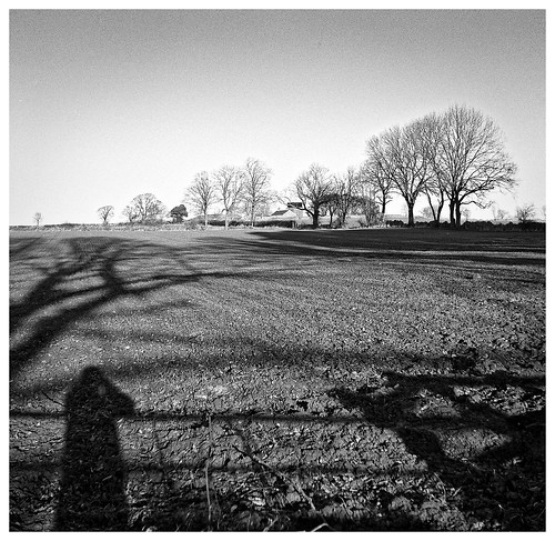 Shadows and Trees. Shadows and Trees. At Nidd near