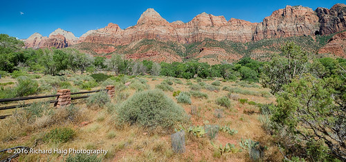 grass trees utah nikonnikkor1424mmf28 nationalpark rock richhaig fence zionnationalpark anationalpark nikond800 rocks