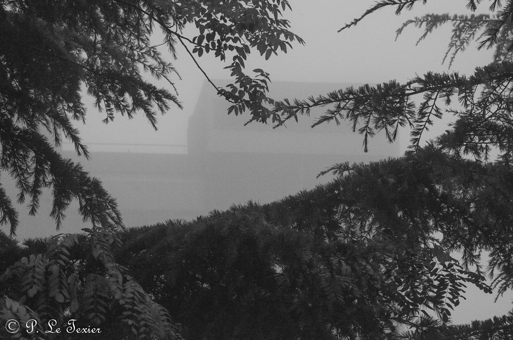 Brouillard sur Villejuif 006