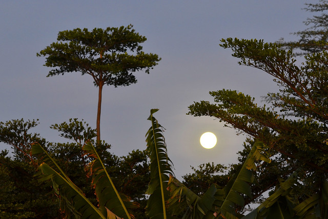 Moon rise - Kenya