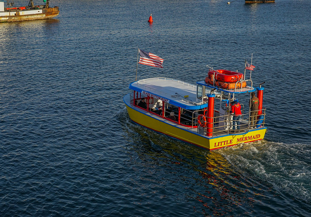 Glass Bottom Boat--DSC07820--Monterey, CA