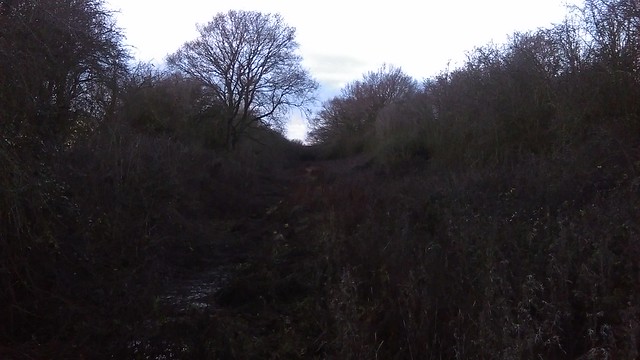 Great Central Railway trackbed looking NW from Twyford, Buckinghamshire.