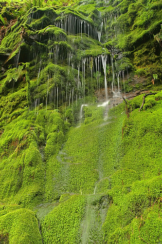 Drooling nature | Seasonal waterfall in Big Basin State Park… | Flickr