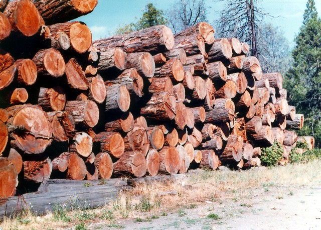 Lumber Mill,