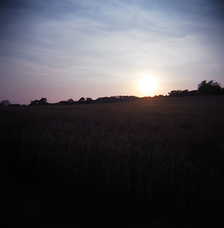 Grain Field Sunset 2