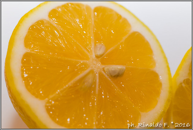 meyer.lemon@citrus.it