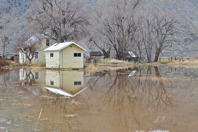 receding floodwaters on a small Genoa ranch