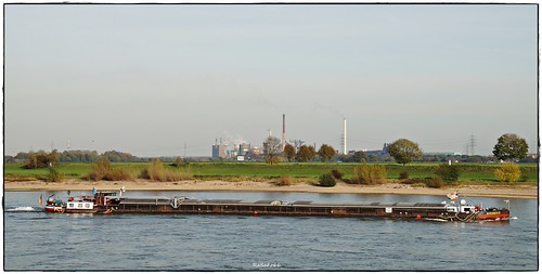 MS RHEINGOLD | by rasafo66