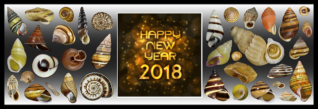 I wish you a fantastic Year 2018!