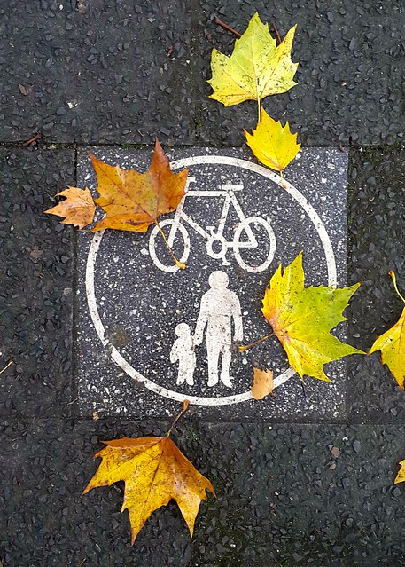Autumn. #infographic #cyclepath