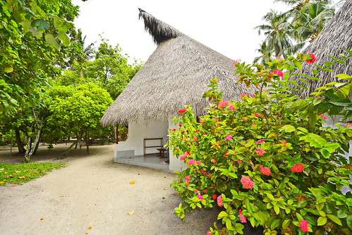 Classic Room - Exterior