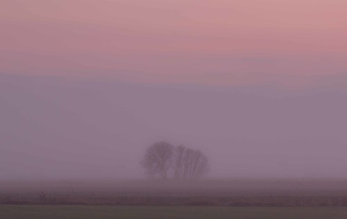 donington lincolnshire east midlands england uk fenland fens flat land arable agriculture trees isolation alone sunset dusk canon dslr 600 julian barker