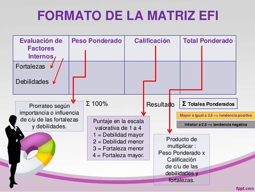 Formato de la matriz EFI | by arianasolano05