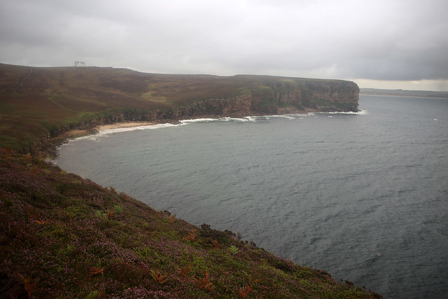 The west coast of Dunnet Head