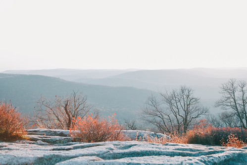 Untitled | by KateBurns86