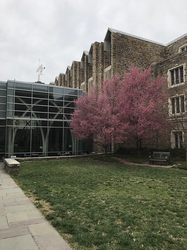 Duke University | by College Bound Mentor