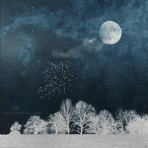 night fantasy landscape moon birds surreal dreamy textures stars illustration