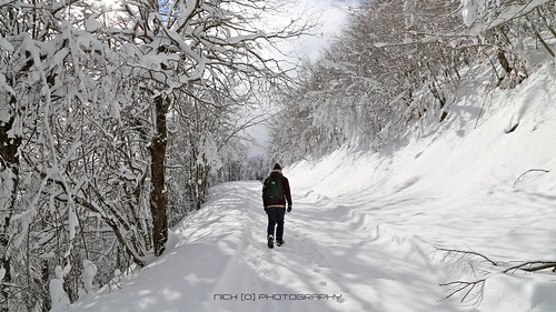 img5710 passodelchiodo appennino forestadelmontepenna escursioneinvernale winterhiking canoneos6d beauty aftersnowfall magicoappennino
