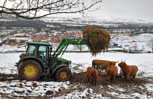 penrith highlandcattle cumbria tractor winter agricultural