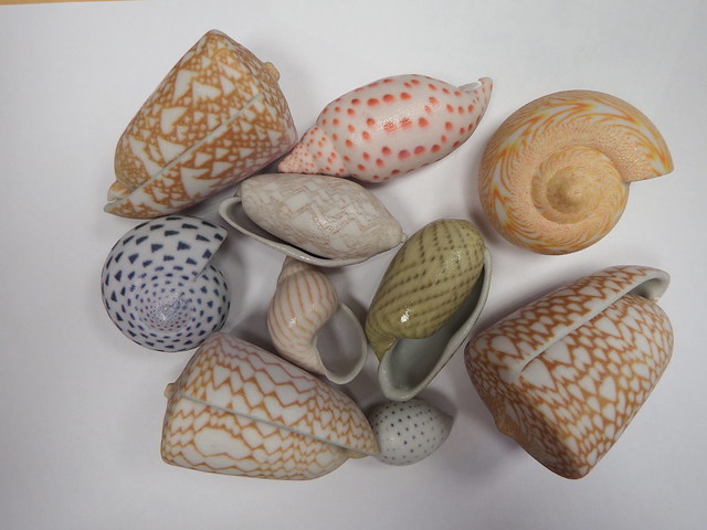A brand new Batch of 3D-printed Seashells