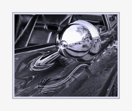 Pinto Adornment | by Vince Montalbano (autofocus)