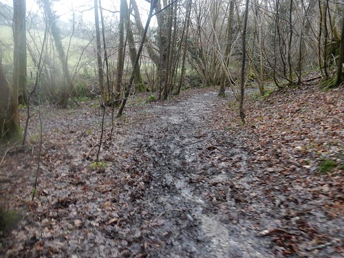 Muddy path Wadhurst circular